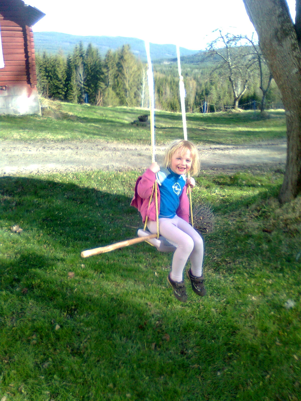 bild1